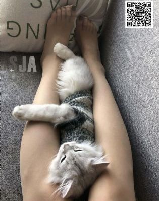 韩剧上流社会